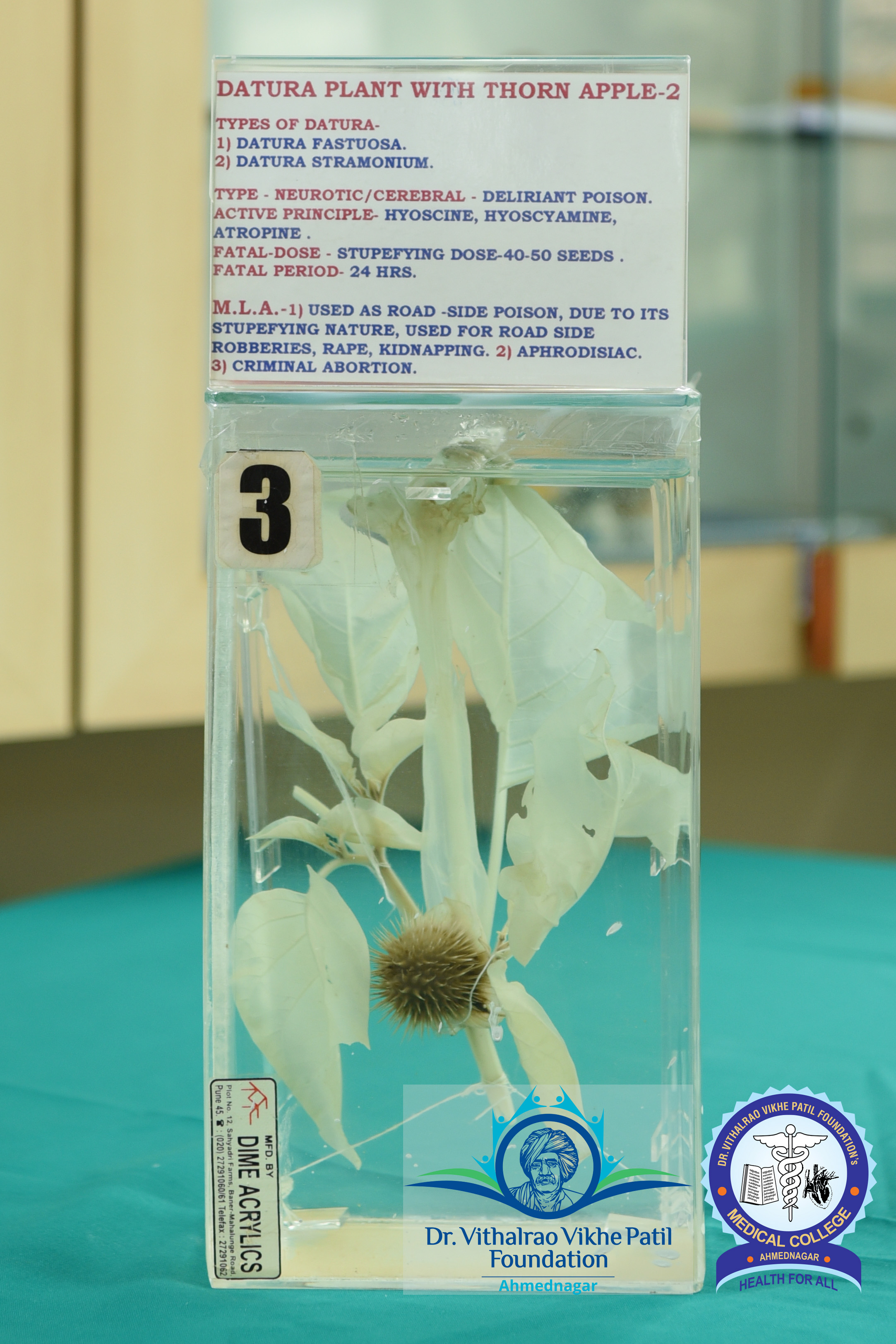 Popup Image